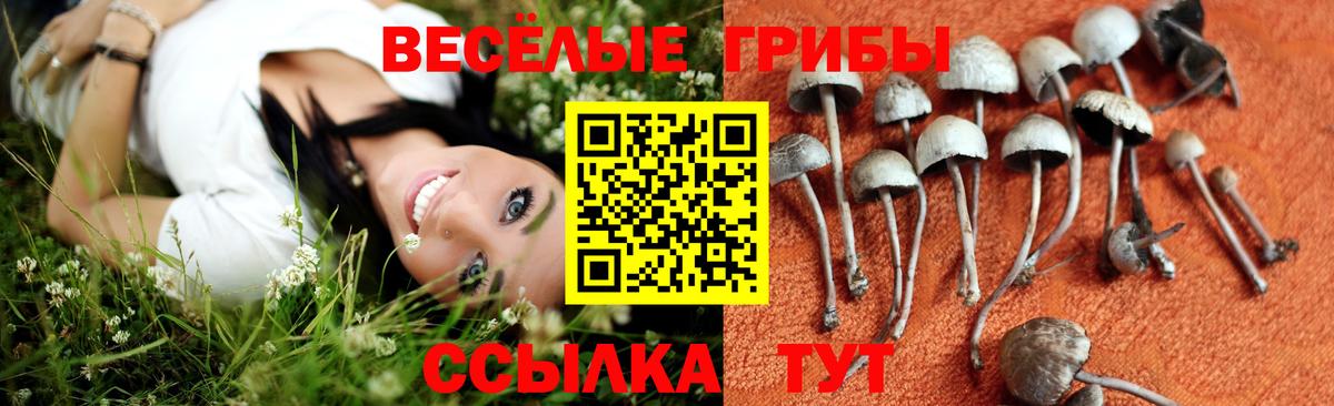 Коряжма  Псилоцибиновые грибы Magic Shrooms  Вход с VPN 