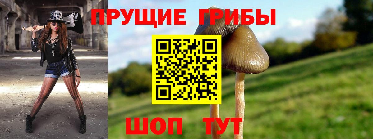 Псилоцибиновые грибы ЛСД Коряжма